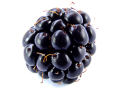 Blackberry (with white background)