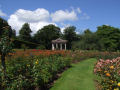 Botanic Gardens Roses