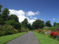 Botantic Gardens, Belfast