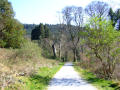 Castlewellan Forest Park 11