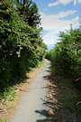 Country Path 3