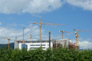 Cranes 3