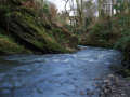 Crawfordsburn Country Park River, County Down, Northern Ireland