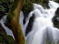 Crawfordsburn Country Park Waterfall 3, County Down, Northern Ireland