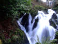 Crawfordsburn Country Park Waterfall 4, County Down, Northern Ireland