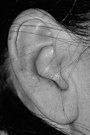 Human Ears