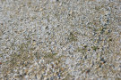 Granite Texture 3