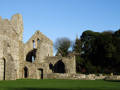 Grey Abbey Ruins 10, County Down, Northern Ireland