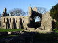 Grey Abbey Ruins 7, County Down, Northern Ireland