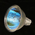 Halogen Light Bulb 2