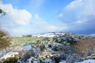 Winter In Ireland 2