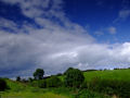Irish Countryside 9