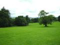 Kilbroney Park - Rostrevor - Ireland Wallpaper