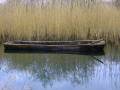 Megalithic Canoe - Wexford - Ireland