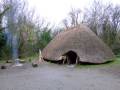 Megalithic Settlement - Wexford - Ireland