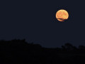 Moon (with yellow/orange tint)