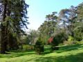 Mount Stewart Gardens 6