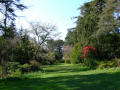 Mount Stewart Gardens 8