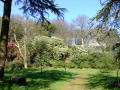 Mount Stewart Gardens 9