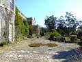 Mount Stewart House & Gardens