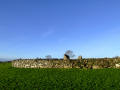 Nendrum Abbey Ruins 2, County Down, Northern Ireland