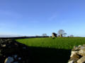 Nendrum Abbey Ruins 3, County Down, Northern Ireland