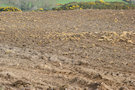 Ploughed Fields 2