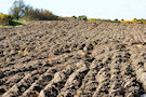 Ploughed Fields 3