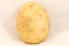 Potato