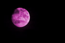 Purple Moon 3