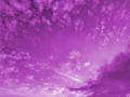 Purple Sky 4