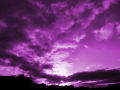Purple Sky 6