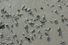 Sand On The Sea Shore