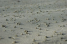 Sand 2