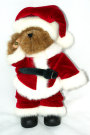 Santa 2 (Teddy Bear)