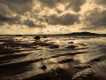 Scrabo Tower Beach