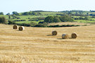 Straw Bales 3