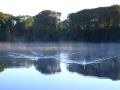 Swan Lake - Greyabbey 2 (With Morning Mist)