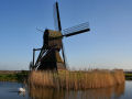 windmill 7