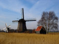 windmills