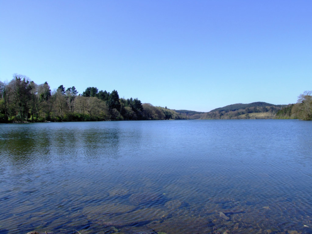 Castlewellan Forest Park