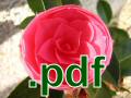 Flowers Adobe PDF File