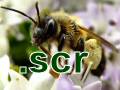 Insects Screensaver (SCR)