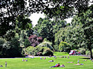 Botanic Gardens, Belfast On A Summer Day