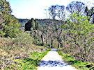 Castlewellan Forest Park 11