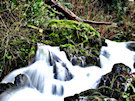 Crawfordsburn Country Park Waterfall 2, County Down, Northern Ireland