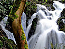 Crawfordsburn Country Park Waterfall 3, County Down, Northern Ireland
