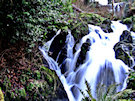 Crawfordsburn Country Park Waterfall 4, County Down, Northern Ireland