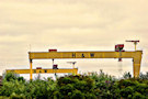 Harland And Wolff Cranes 3