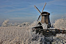Winter In Holland